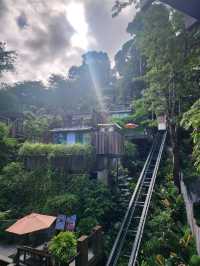 5 Days of Summer Magic in Phuket: Temples, Treats & Tropical Vibes