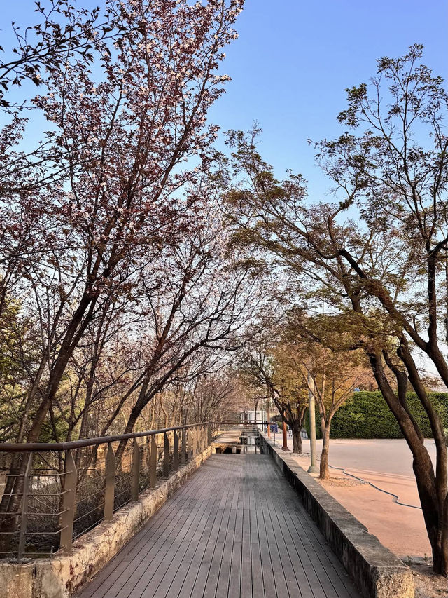 Seonyudo Park