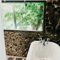 Tropical Whispers and Rustic Wonder