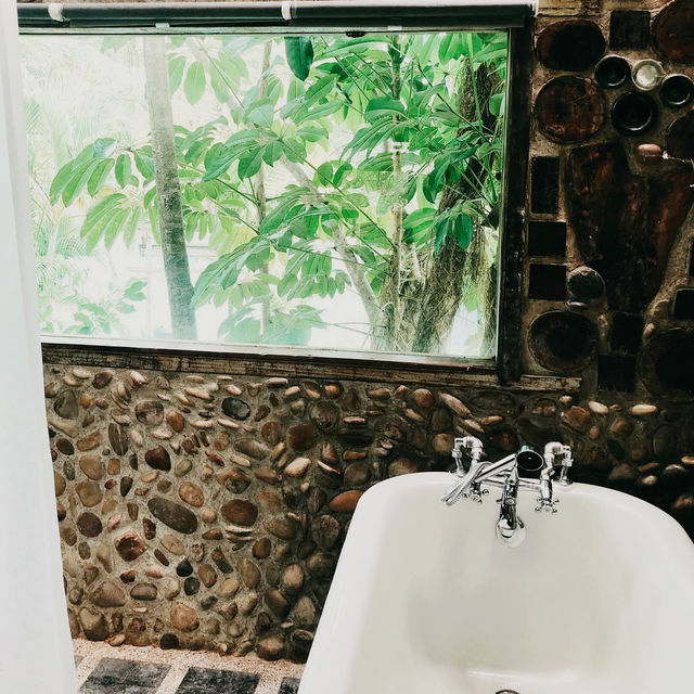 Tropical Whispers and Rustic Wonder