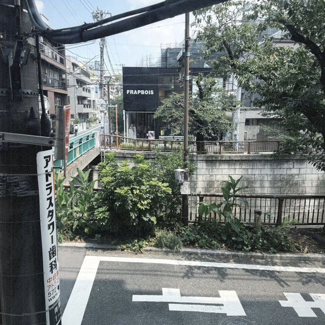 Riverside Modernity & Roasted Precision – My Visit to Sidewalk Stand, Tokyo (Nakameguro)
