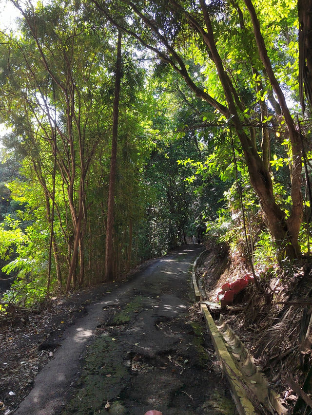 Discovering Borneo’s Heart: A Wander through Sabah Museum