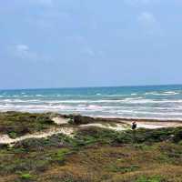 Padre Island National Seashore