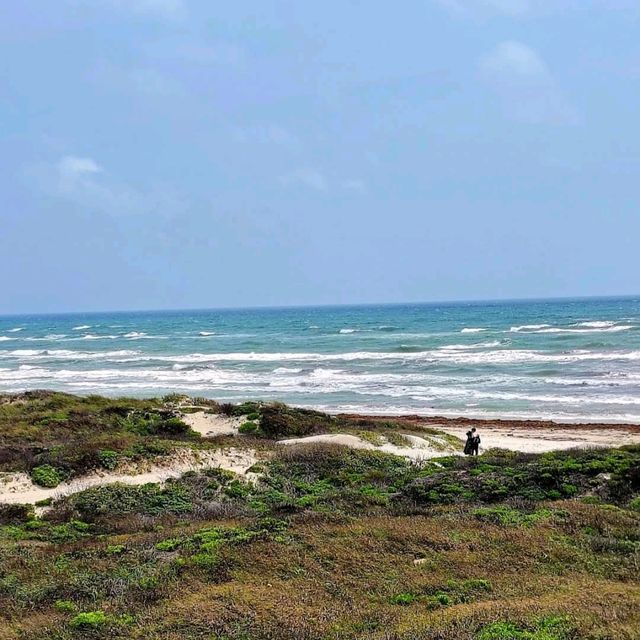 Padre Island National Seashore
