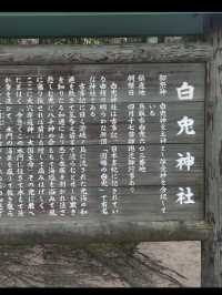 【神話の地で縁結び✨白兎神社で心清らかに】