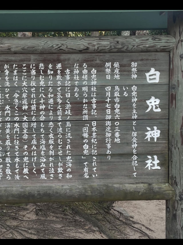 【神話の地で縁結び✨白兎神社で心清らかに】
