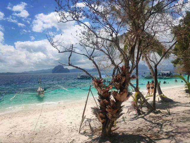 Straight-Up Paradise Goals