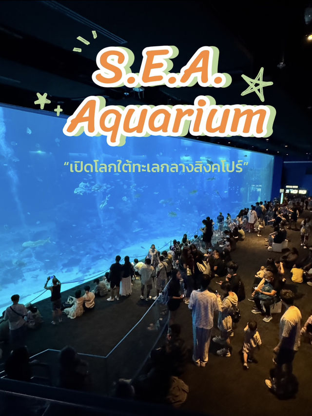🐠 S.E.A. Aquarium – เปิดโลกใต้ทะเลกลางสิงคโปร์
