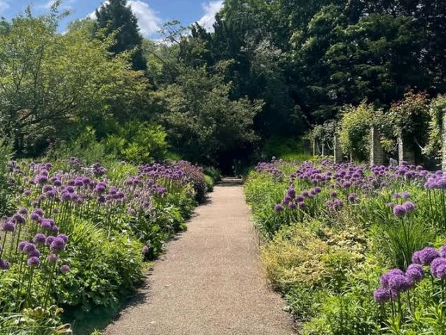 The garden is not in full bloom yet but it’s starting to get pretty with spring flowers
