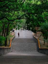 Dongling Park ☀️ 🌳 