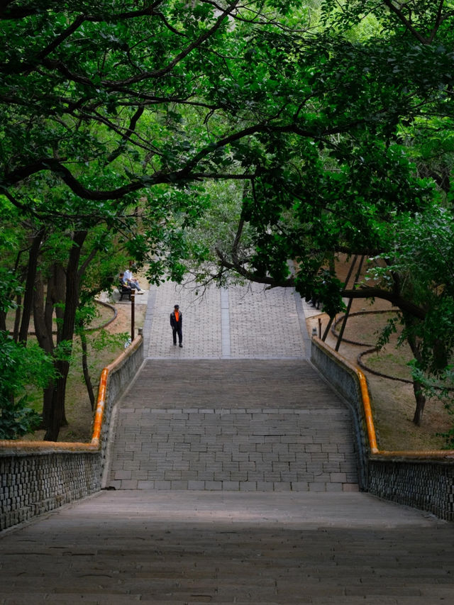 Dongling Park ☀️ 🌳 