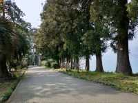 Leaf It All Behind at Batumi Botanical Garden