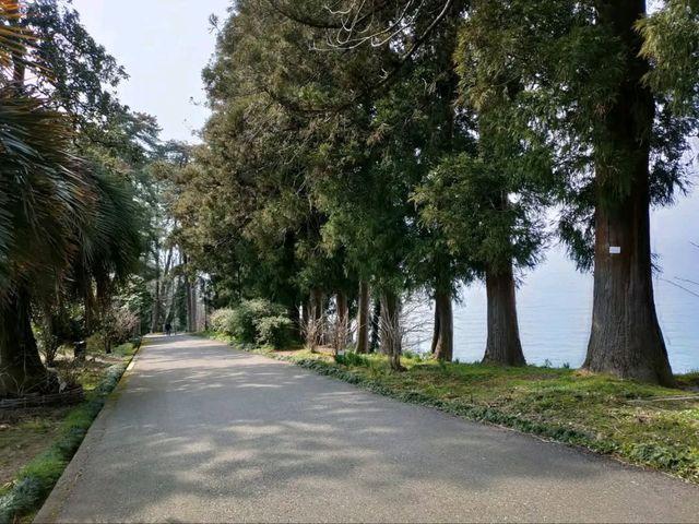 Leaf It All Behind at Batumi Botanical Garden