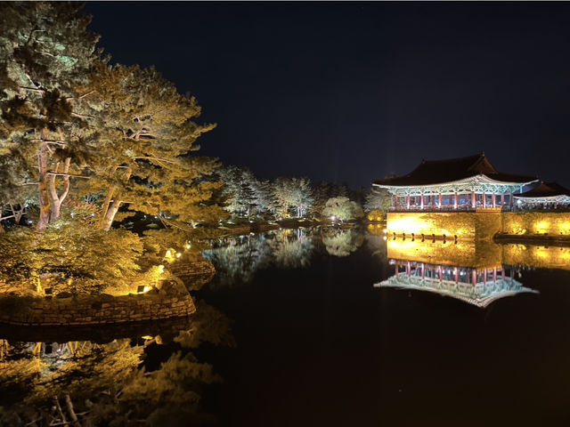 경주, 고즈넉한 야경과 바다까지 한 번에🌙🌊