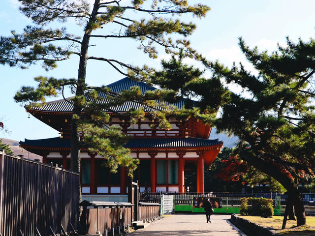 Kofukuji Temple รีวิว