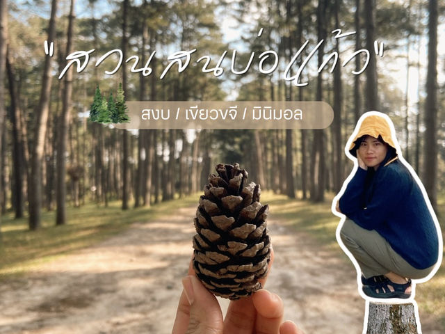 🌲🍃 สวนสนบ่อแก้ว |