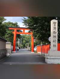 【下鴨神社】森と水に包まれる聖地🌿みたらし団子の発祥地で心清める旅