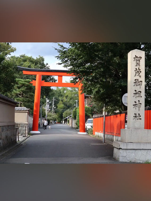 【下鴨神社】森と水に包まれる聖地🌿みたらし団子の発祥地で心清める旅