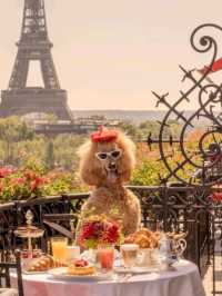 🇫🇷法國巴黎必住酒店（三） 巴黎雅典娜酒店