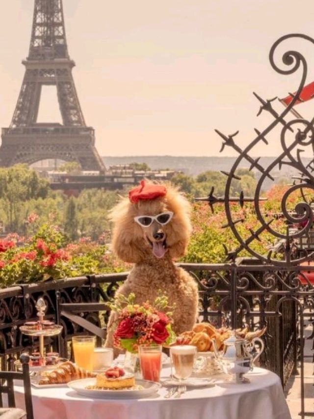 🇫🇷法國巴黎必住酒店（三） 巴黎雅典娜酒店