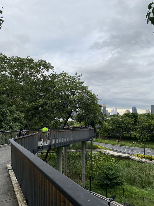 สวนเบญจกิติ