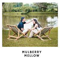 🌿 Mulberry Mellow – คาเฟ่กลางสวนมัลเบอร์รี่ในฝัน