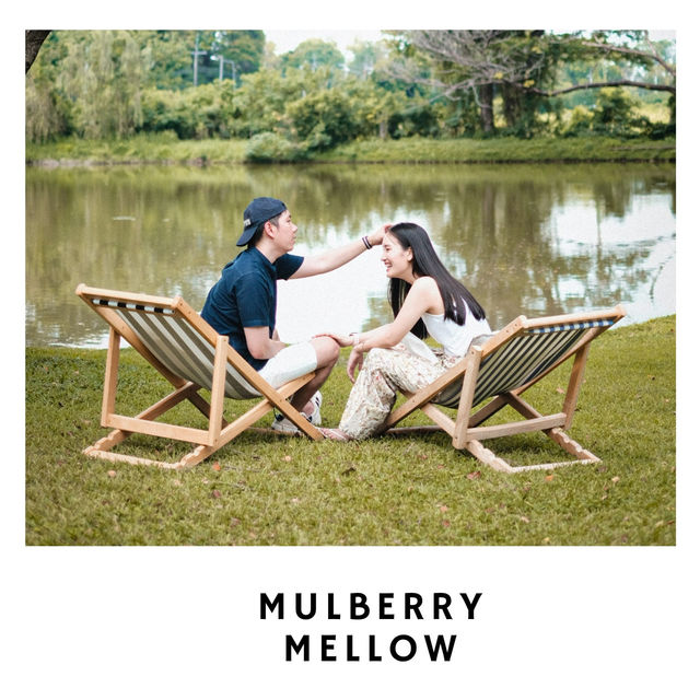 🌿 Mulberry Mellow – คาเฟ่กลางสวนมัลเบอร์รี่ในฝัน