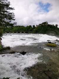 🌊Unleashed at Rhine Falls