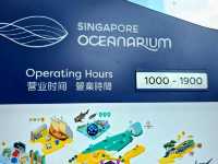 Dive Into Wonder at the New Singapore Oceanarium