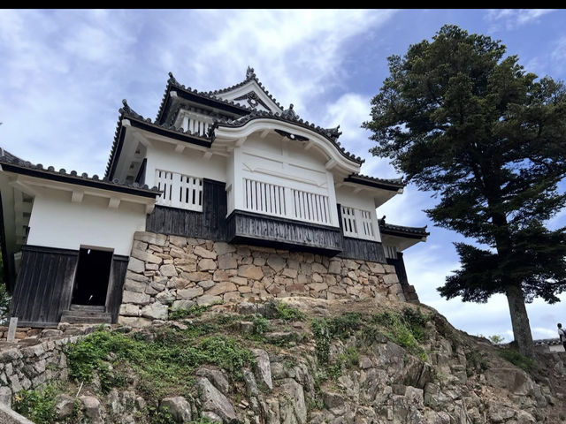🏯【備中松山城】雲海に浮かぶ天空の城で絶景と歴史に出会う旅