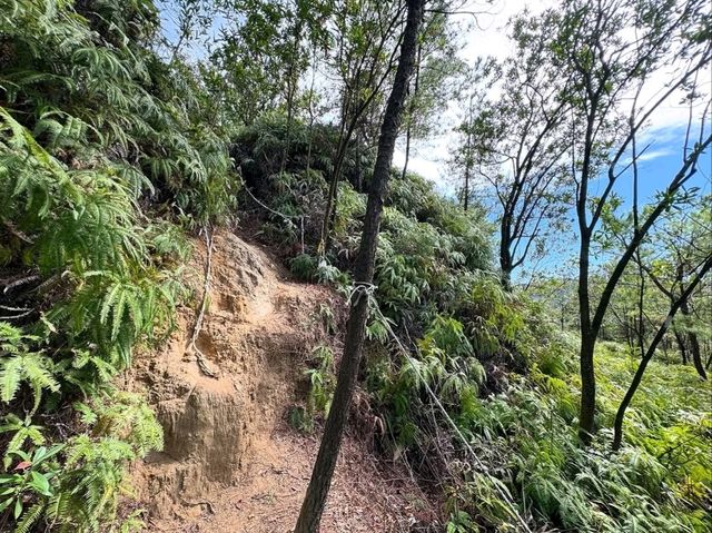 Dapao Rock Looks Like a Cannon and Feels Like a Secret Spot