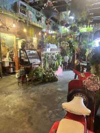 JUNGLE COFFEE