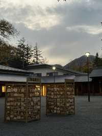靈驗神籤與清幽木境｜北海道神宮巡禮