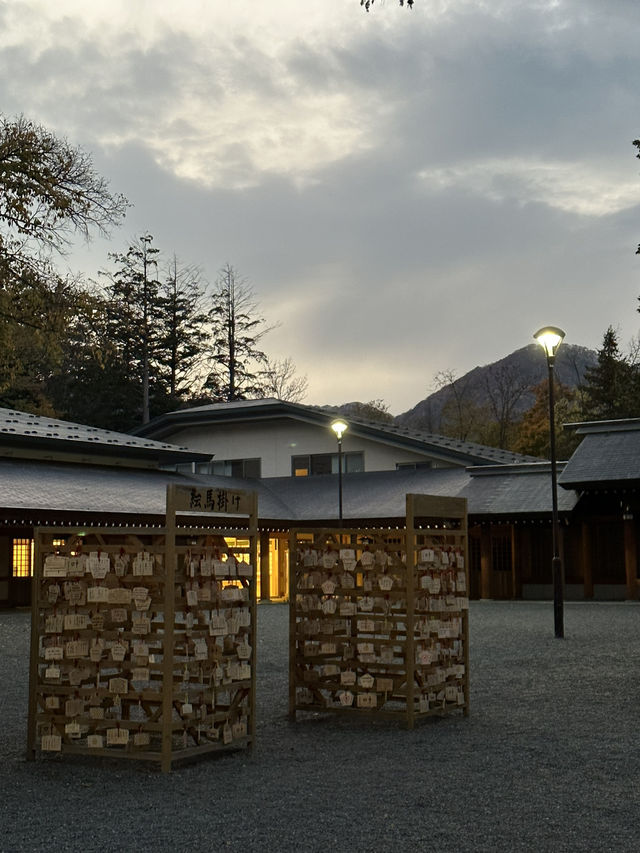 靈驗神籤與清幽木境｜北海道神宮巡禮
