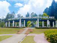 Taman Agroteknologi MARDI, Cameron Highlands โ A Fresh Breath of Highland Charm ๐๐ธ