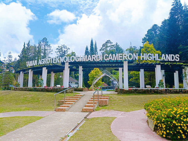 Taman Agroteknologi MARDI, Cameron Highlands โ A Fresh Breath of Highland Charm ๐๐ธ Taman Agroteknologi MARDI, Cameron Highlands โ A Fresh Breath of Highland Charm ๐๐ธ
