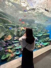 ★いまをときめく水族館★神戸須磨シーワールド