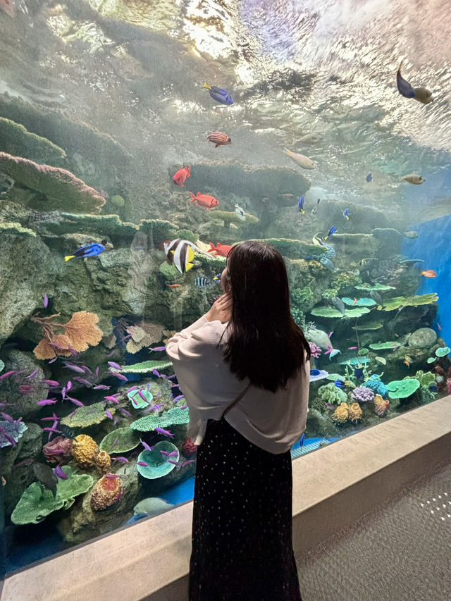 ★いまをときめく水族館★神戸須磨シーワールド