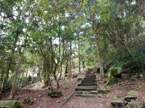 探索八仙山國家森林遊樂區的自然之美