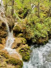 Fall for the Falls: Why Pearl Shoal Is Nature’s Hidden Treasure