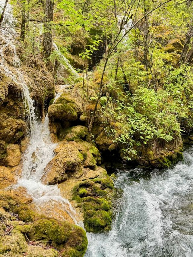 Fall for the Falls: Why Pearl Shoal Is Nature’s Hidden Treasure