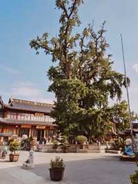 A Grand and Majestic Buddhist Temple