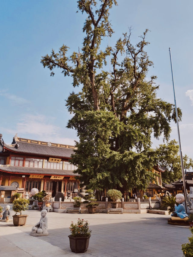 A Grand and Majestic Buddhist Temple