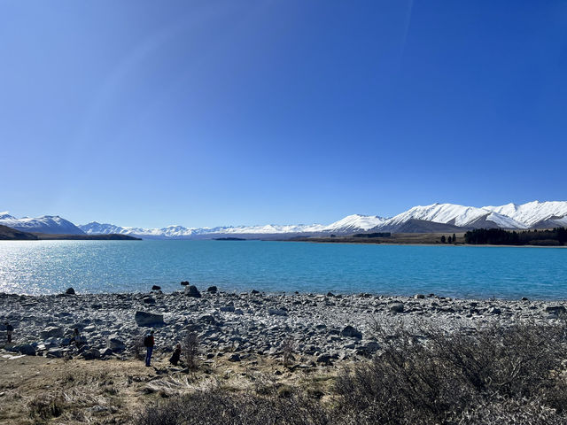 紐西蘭旅遊—🌊 Lake Tekapo Scenic｜藍色湖畔的無邊詩意