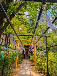 【愛知】期間限定！名古屋の真ん中で出会える“涼やかな絶景”✨🎐