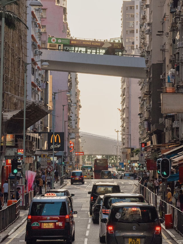 🇭🇰 Hong Kong — A Childhood Dream Come True 🎬✨