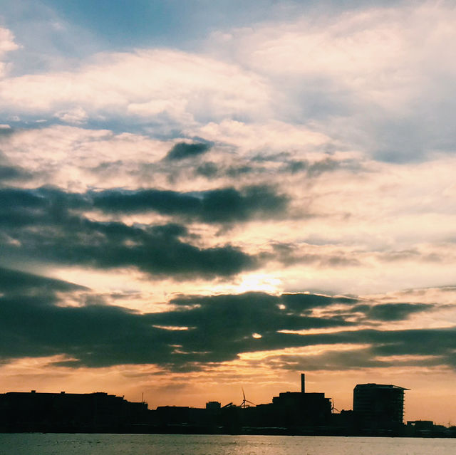 🇳🇱アムステルダム NDSMワーフで夕焼け散歩＆ディナー体験
