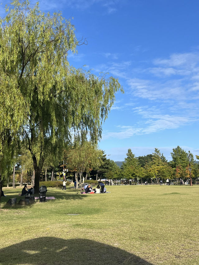 대전에서 사계절을 느끼는 힐링 스팟 🌳 한밭수목원