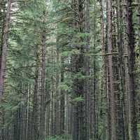 Olympic National Park (WA)