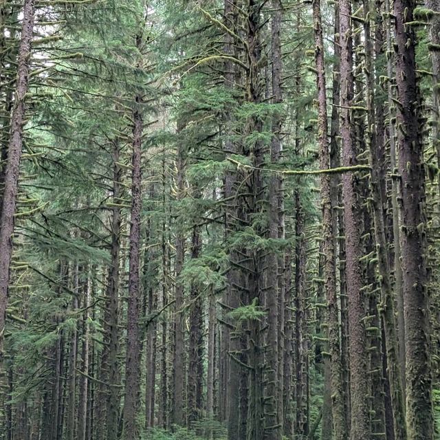 Olympic National Park (WA)
